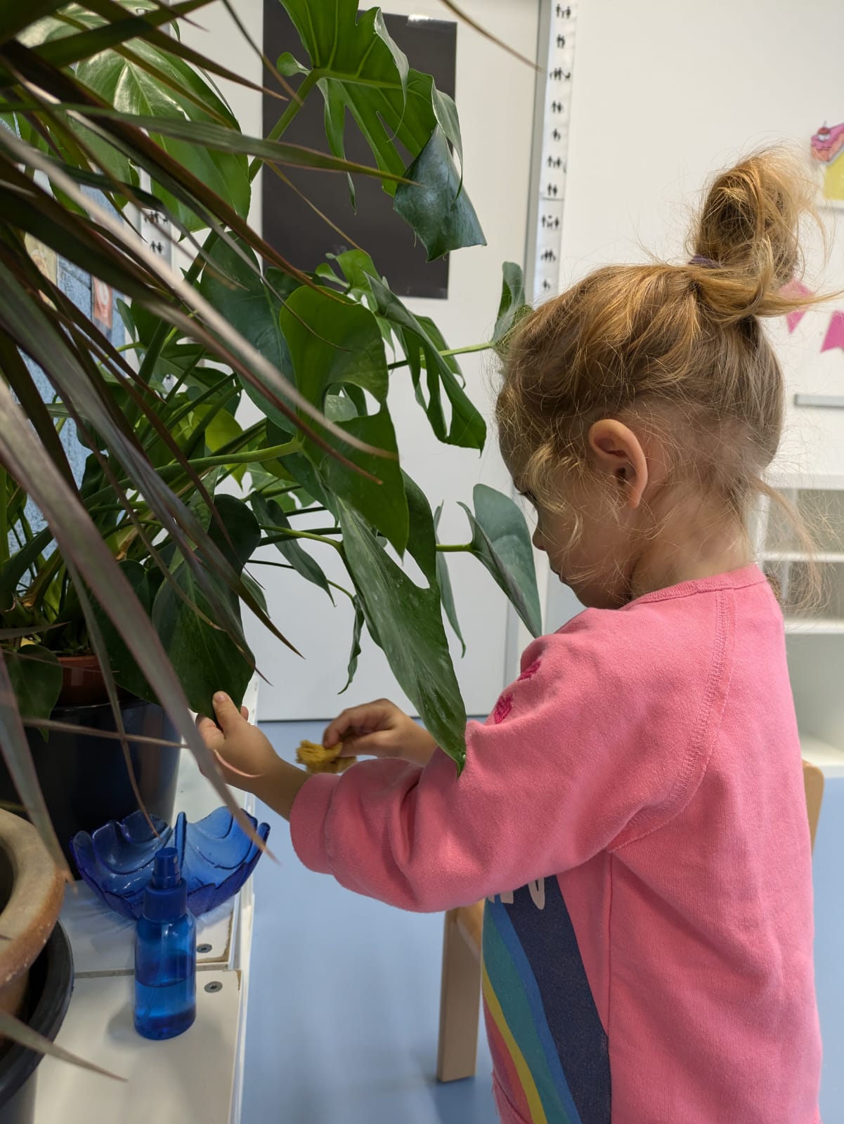 ibms child washes leaves of a plant -gently, mindfully, and with purpose | Ein ibms-Kind wäscht behutsam und achtsam Pflanzenblätter ab.
