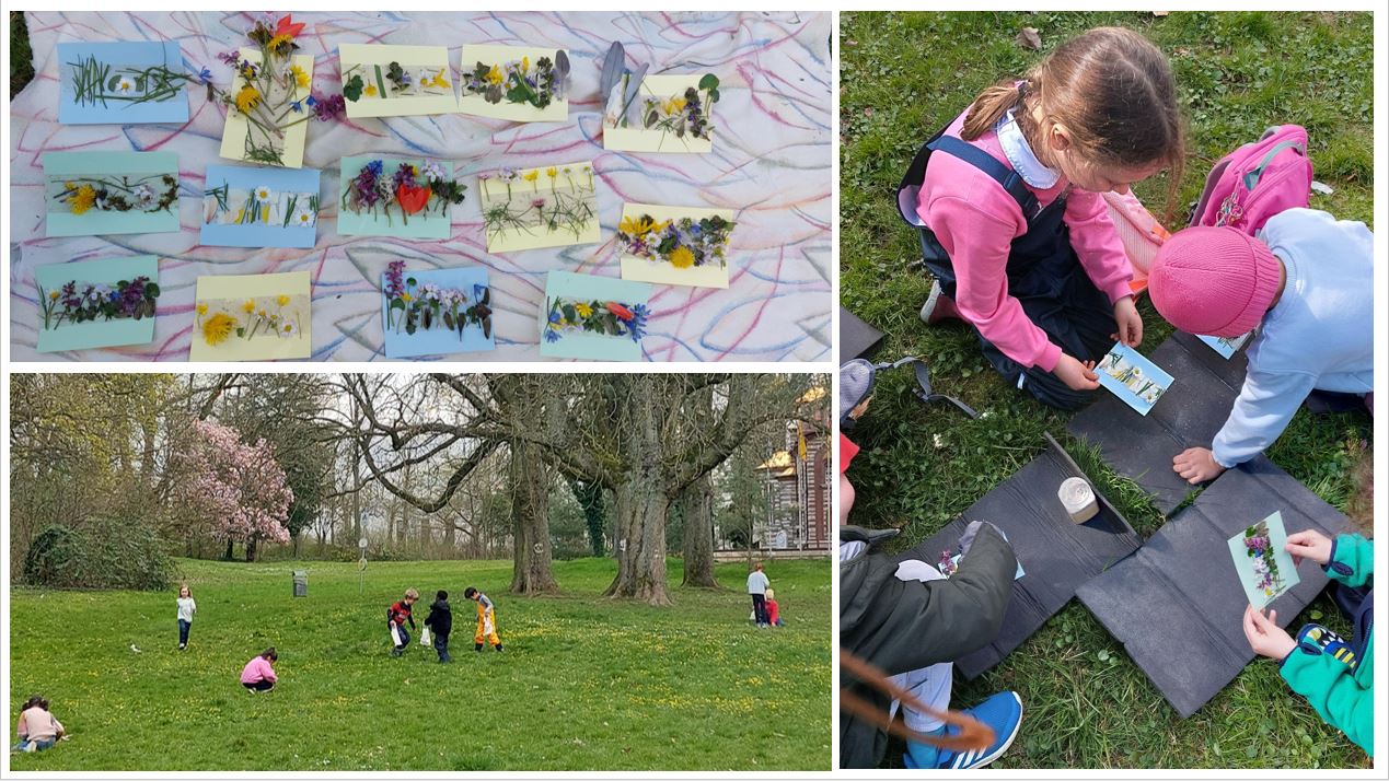 ibms children exploring and gathering leaves and petals | ibms-Kinder beim Erkunden und Sammeln von Blättern und Blütenblättern