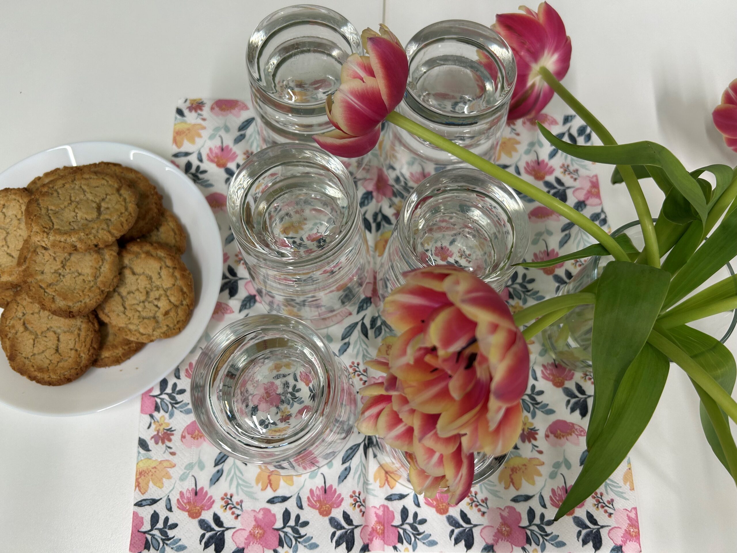 Ein liebevoll gedeckter Tisch mit Gläsern Wasser, Keksen und rosafarbenen Tulpen – als Dankeschön für die engagierten ibms Elternvertreterinnen und -vertreter der Montessori-Schule nach den letzten Treffen im Schuljahr |
A thoughtfully arranged table with glasses of water, cookies, and pink tulips – a gesture of appreciation for the dedicated ibms parent representatives of the Montessori school after the final meetings of the school year.