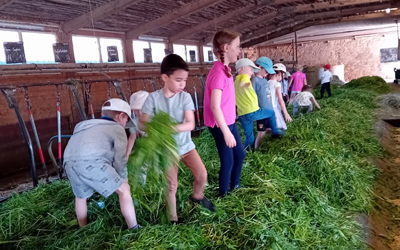 Preparing-Children-for-the-Future