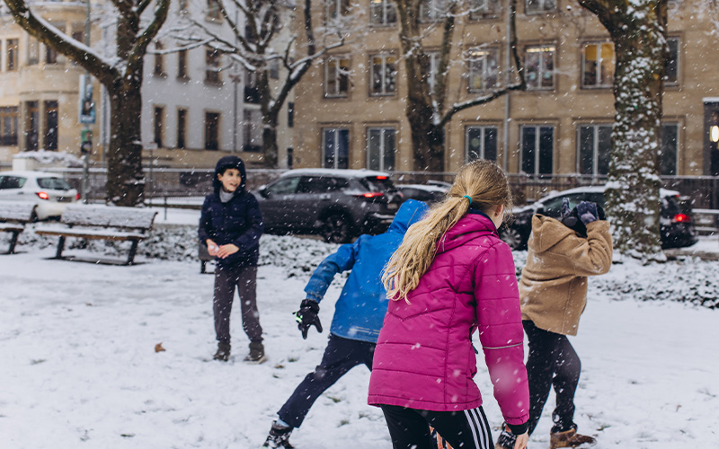 Application-Process-4