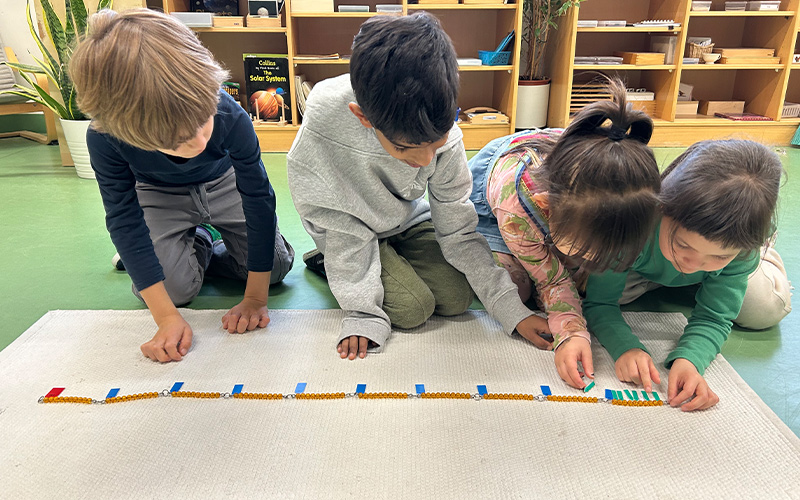 Reception-Teppich-Strahl