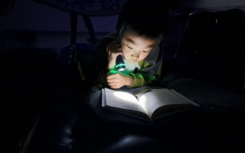 Reading-Night-§